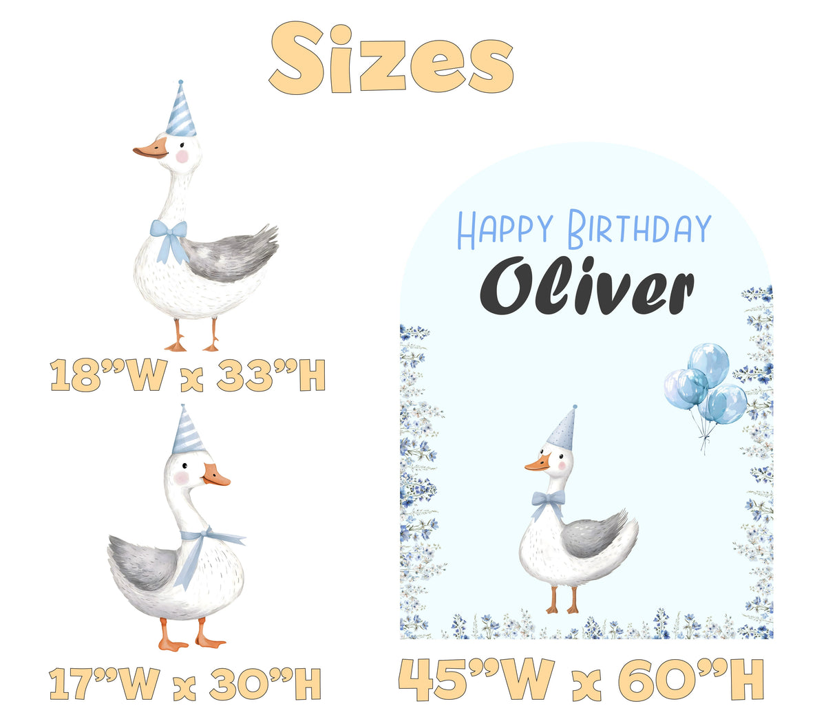 Blue Goose Birthday Backdrop Set - size chart