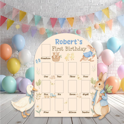 Personalized Garden Bunny Photo Board, Milestone, Boys First Birthday, First Year Photo Board, Blue Baby Boy, Silly Goose, Party Prop