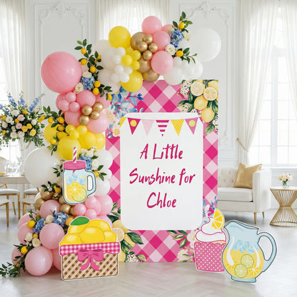 Lemonade Party Cutouts (Pink Gingham), Main Squeeze, Backdrop, Two Sweet Birthday, Pink Lemonade Decor, Baby Shower, Summer Party, Lemonade Stand