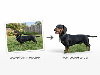 Personalized Life-Size Pet Cutout (Sitting Pose), Custom Dog Prop, Wedding Favor, Pet Birthday, Funny Gift, Anniversary Gift
