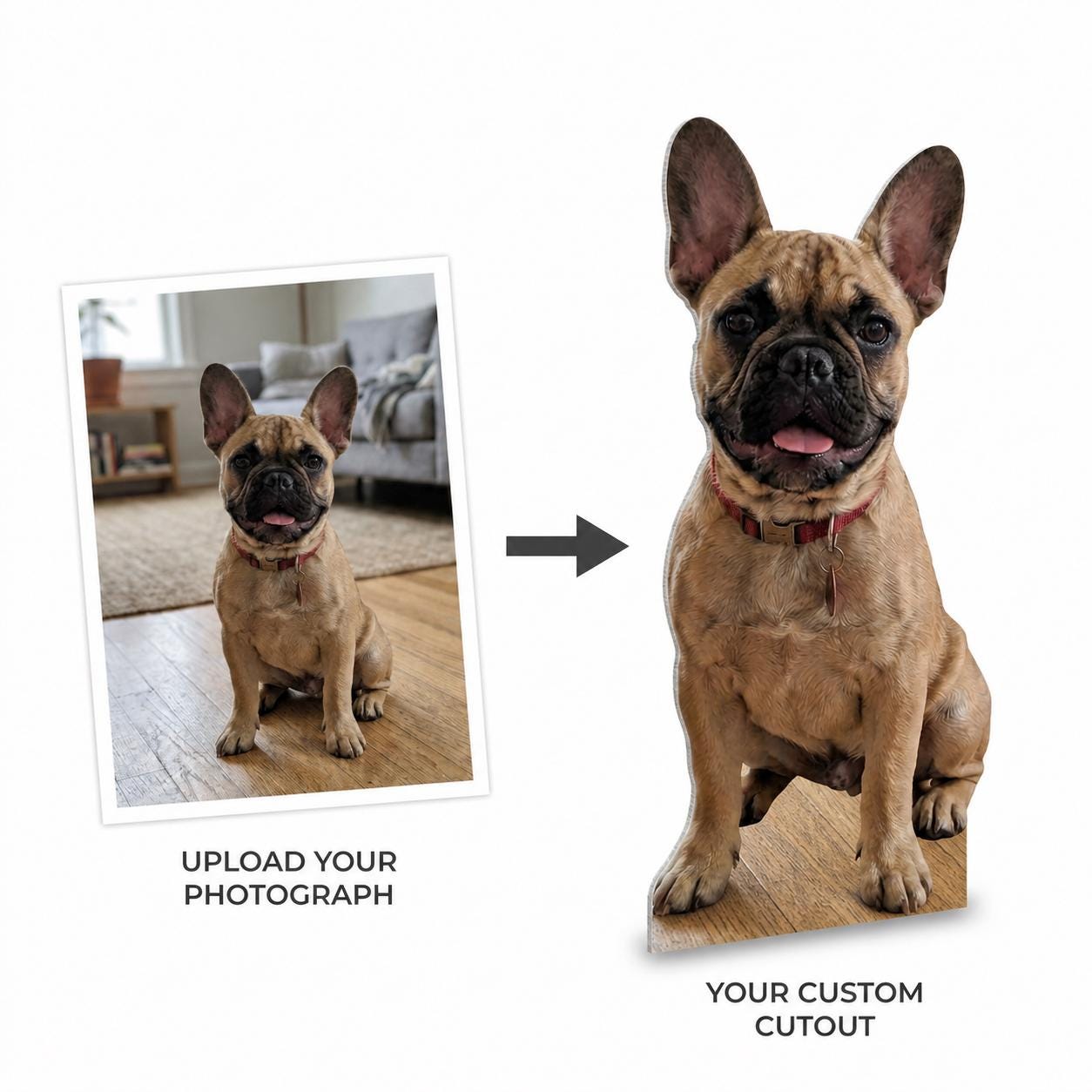 Personalized Life-Size Pet Cutout (Sitting Pose), Custom Dog Prop, Wedding Favor, Pet Birthday, Funny Gift, Anniversary Gift