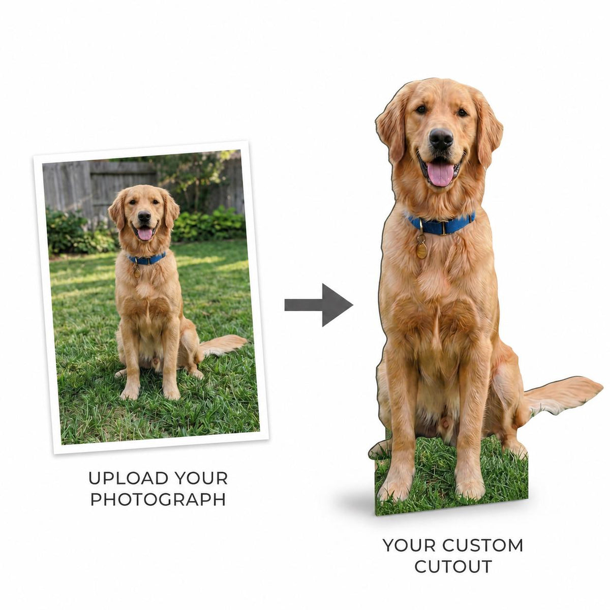 Personalized Life-Size Pet Cutout — custom party decor, printed and cut to shape