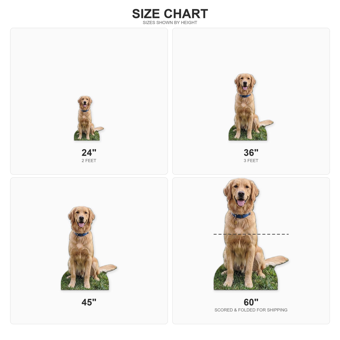 Personalized Life-Size Pet Cutout (Sitting Pose), Custom Dog Prop, Wedding Favor, Pet Birthday, Funny Gift, Anniversary Gift