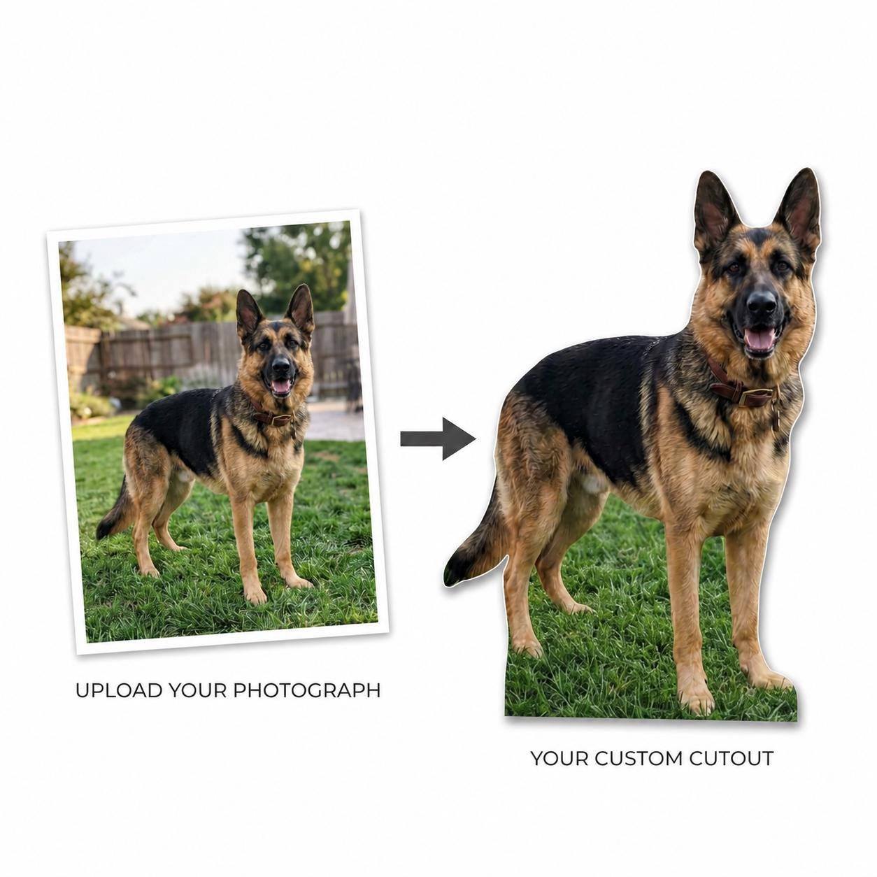 Personalized Life-Size Pet Cutout — custom party decor, printed and cut to shape