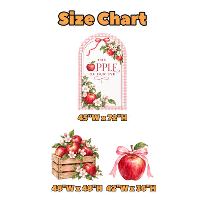 Pink Gingham Apple Baby Shower Arch Set