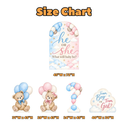 Teddy Bear He or She Gender Reveal Set