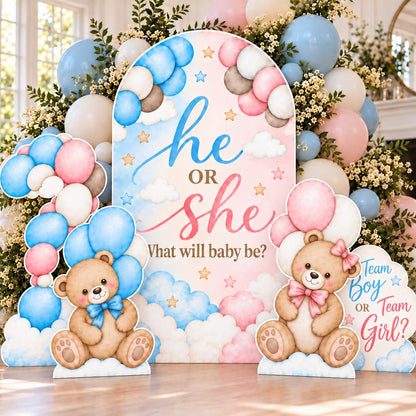 Teddy Bear He or She Gender Reveal Set