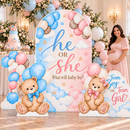 Teddy Bear He or She Gender Reveal Set