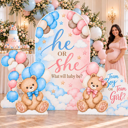 Teddy Bear He or She Gender Reveal Set