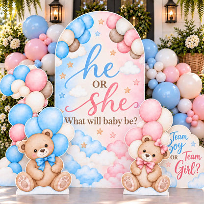 Teddy Bear He or She Gender Reveal Set