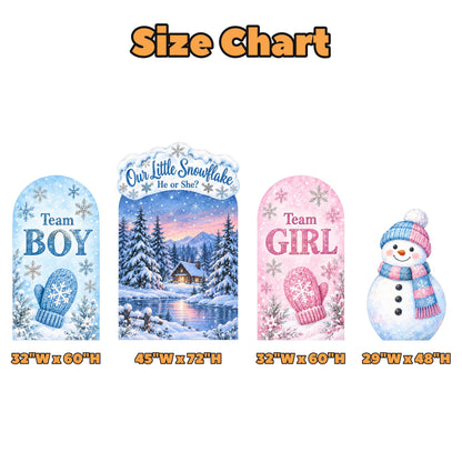 Winter Snowflake Gender Reveal Arch Set