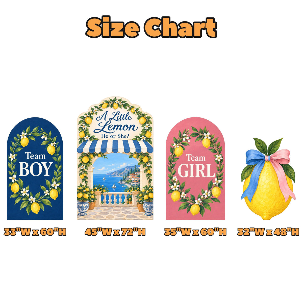 Navy Rose Lemon Terrace Gender Reveal Set