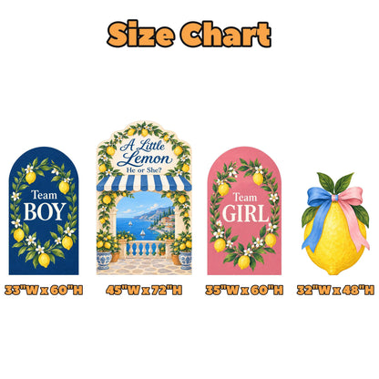 Navy Rose Lemon Terrace Gender Reveal Set