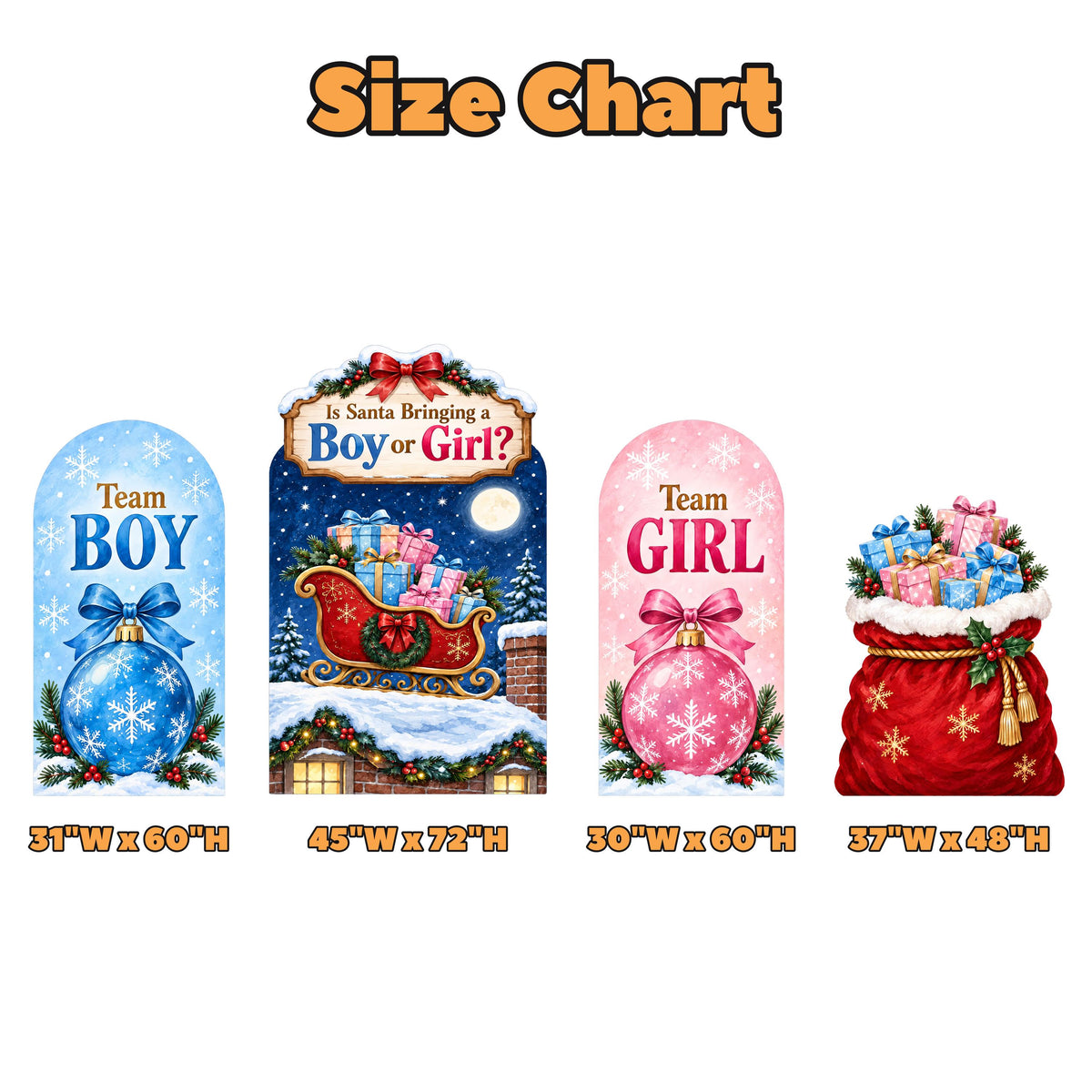Santa Sleigh Christmas Gender Reveal Set