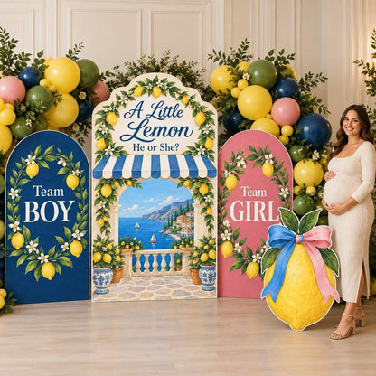 Navy Rose Lemon Terrace Gender Reveal Set