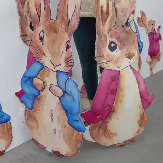Pink Peter Rabbit Cutouts, Storybook Baby Shower, Backdrop, Easter Bunny Art, Signs, Standee, Girls Birthday, Garden Mushroom, Welcome Sign