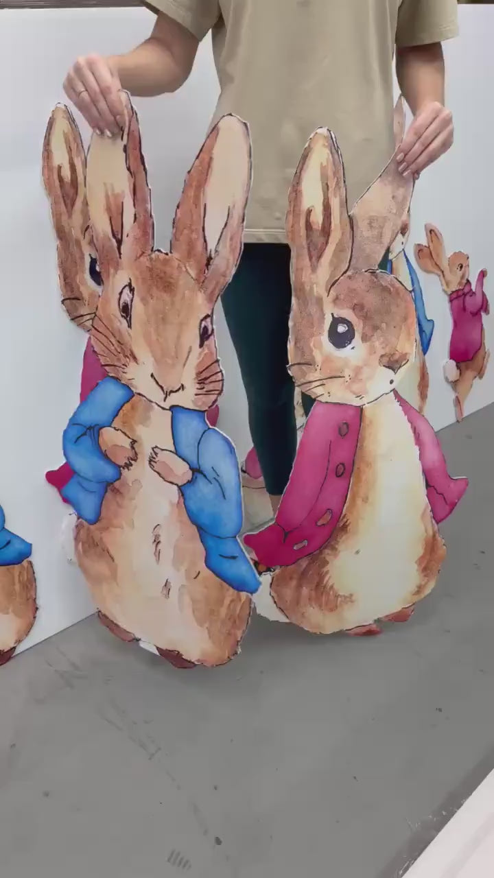 Pink Peter Rabbit Cutouts, Storybook Baby Shower, Backdrop, Easter Bunny Art, Signs, Standee, Girls Birthday, Garden Mushroom, Welcome Sign